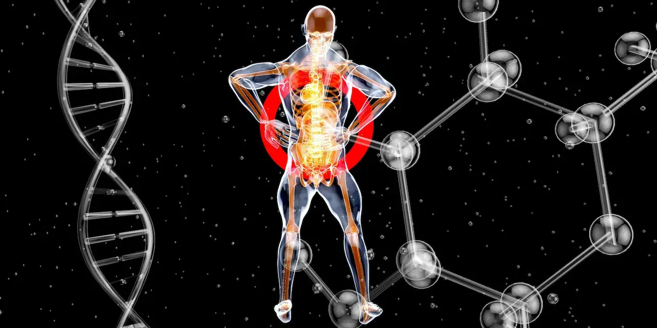 What Are the Best SARMs for Muscle Tissue Research?