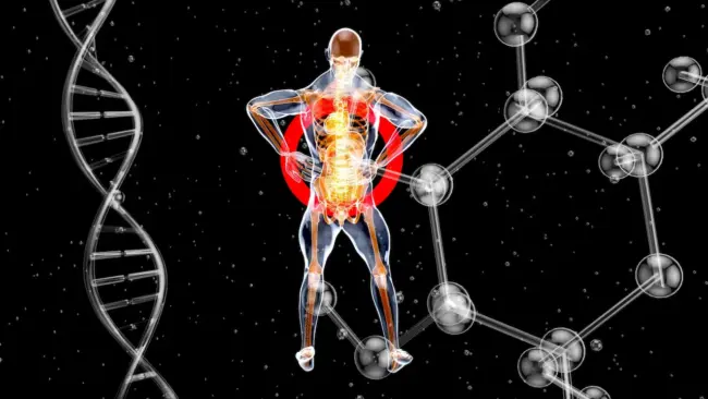 What Are the Best SARMs for Muscle Tissue Research?