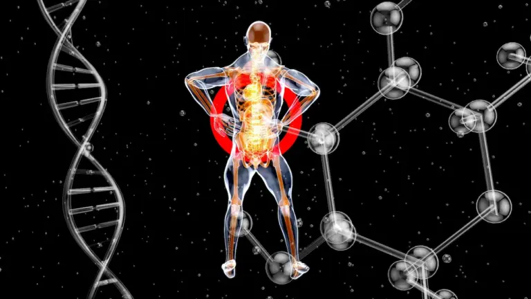 What Are the Best SARMs for Muscle Tissue Research?