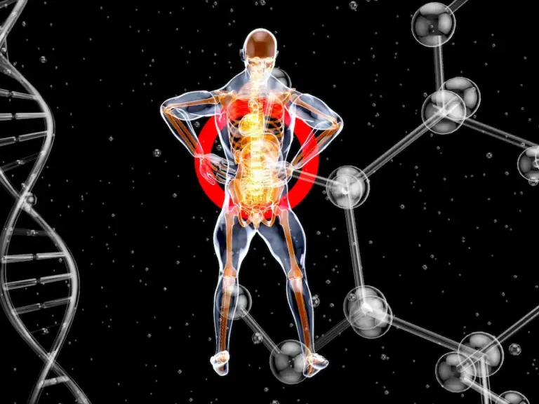 What Are the Best SARMs for Muscle Tissue Research?
