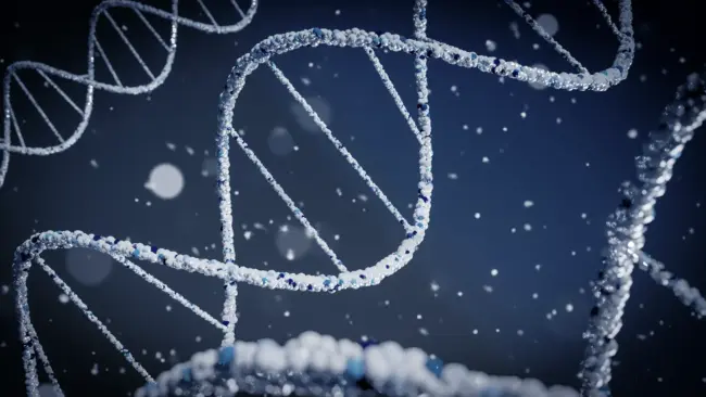 How Does Ipamorelin Compare To Other Growth Hormone Releasing Peptides?