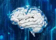Which Peptide Is Better for Cognitive Research: Semax or Selank?